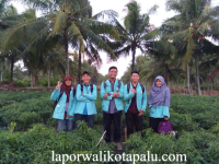 5 Universitas Swasta dengan Jurusan Pertanian di Jawa Tengah
